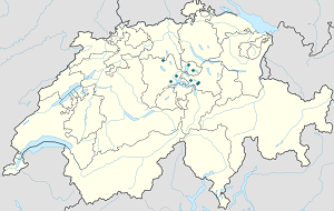 Mapa města Schwyz se značkami pro každého podporovatele 