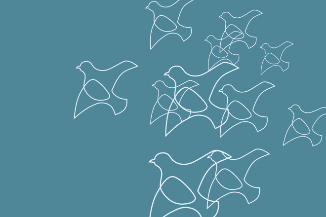 Image of the petition New skate park for Wainuiomata!