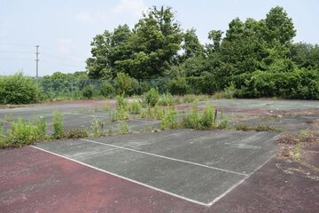 Image of the petition Community Request for the Revitalization of Abandoned Tennis Courts into a Youth Basketball Court