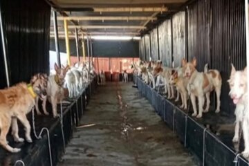 Imagen de la petición Inclusión de los Perros de Caza en la Ley de Protección Animal en España