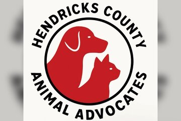 Image of the petition Public Evening Meeting Request