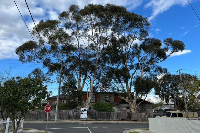 Тампо ауыстыру порно видео XXX фистинг порно фотосуреттері